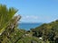 14 Glen Brook Road, Omiha, Waiheke Island - Carousel 2