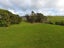 1325 Morrinsville-Tahuna Road, Morrinsville - Carousel 22