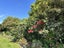 641 Thornton Road, Thornton, Whakatane - Carousel 36