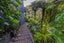 116 Fairview Crescent, Omiha, Waiheke Island - Carousel 21