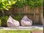 87 Puhirake Crescent, Pyes Pa, Tauranga - Carousel 24