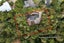 43 Raymond Terrace, Northcote, Auckland - Carousel 18