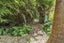 6388A South Road, Pungarehu, Opunake - Carousel 15