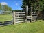 9 Buckley Road, Shannon, Palmerston North - Carousel 14