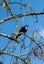 29 Caulfield Place, Pukehangi, Rotorua - Carousel 20