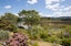 13 Riverlea Drive, Katikati, Katikati - Carousel 19