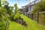 43 Oxford Road, Lake Rotoma - Carousel 18