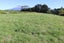 174 Bedford Road North, Kaimiro, Kaimiro - Carousel 12