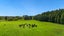 7144A State Highway 1, Pakaraka, Moerewa - Carousel 3