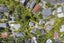 4/33 Teal Crescent, Beach Haven, Auckland - Carousel 21