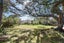4 Beaubank Road, Kelston, Auckland - Carousel 13