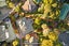 41 Emlyn Place, Torbay, Auckland - Carousel 21