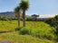 1 Coates Terrace, Rapahoe, Greymouth - Carousel 1
