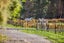 0 Grays Road, Pauatahanui, Porirua - Carousel 9
