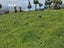 38 Taieri Beach Road, TAIERI BEACH, TAIERI MOUTH - Carousel 5