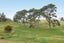 0 Centennial Park Road, Wellsford, Wellsford - Carousel 6
