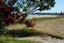 1514 Inland Road, Karikari Peninsula, Kaitaia - Carousel 33