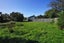 5 Casper Street, Fairfield, Hamilton - Carousel 13