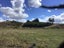 0 McIntyre Road, Kawakawa, Kawakawa - Carousel 5