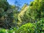 93 Upland Road, Aongatete, Western Bay Of Plenty, Bay Of Plenty - Carousel 28