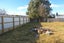 22 Leckie Street, Redruth, Timaru - Carousel 5