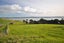 100 Wairoa Gorge Road, Wairoa Valley - Carousel 35
