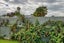 344 Kennedy Road, Pirimai, Napier - Carousel 27