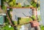 17 Medvale Avenue, Flat Bush, Auckland - Carousel 14