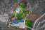 108 Vaughans Road, Albany - Carousel 4
