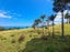 1702 Colville Road, Amodeo Bay, Coromandel - Carousel 15