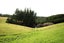 118 Old Port Road, Warepa - Carousel 7