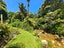 755 Driving Creek Road, Coromandel, Coromandel - Carousel 5