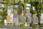 62 Sussex Street, Grey Lynn, Auckland - Carousel 17