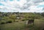 22 Brianell Valley Road, Pyes Pa, Tauranga - Carousel 9