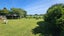1321 Oropi Road, Oropi, Tauranga - Carousel 12
