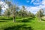 3 Bagnal Road, Kaiwaka - Carousel 8