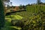 394 Old Highway, Whakamarama, Whakamārama - Carousel 18
