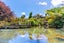 121 Marae O Rehia Rd, Karioitahi, Waiuku - Carousel 20