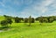 1099 Omana Road, Waiotira - Carousel 17