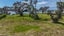 0 William Gilbert Drive, Mangawhai, Mangawhai - Carousel 11
