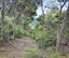 6 Lavinia Place, Kawau Island - Carousel 8
