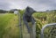 212 McMaster Road, Saddle Hill, Dunedin - Carousel 32