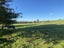 719 Motukaika Road, Cave - Carousel 18