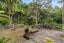 2A Opou Road, Titirangi, Auckland - Carousel 18
