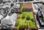 430 Hillsborough Road, Mount Roskill, Auckland - Carousel 4