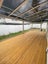 5/408 Ellerslie-panmure Highway, Mount Wellington, Auckland - Carousel 9