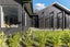 10 Coopworth Road, Jacks Point, Queenstown - Carousel 39