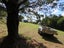 471 State Highway 10, Cable Bay, Cable Bay - Carousel 14