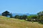 11 Bearing Parade, Long Bay, Auckland - Carousel 5