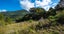 2677 Kaiuma Bay Road, Kaiuma Bay - Carousel 12